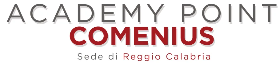 Academy Point Comenius